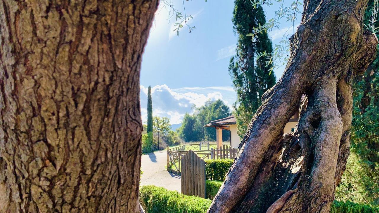Casa In Maremma Tuscany Village 3*
